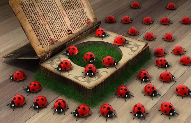 Ladybug - a symbol of divine help, protection