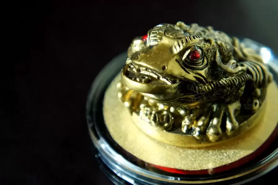 lucky charm - three-legged toad
